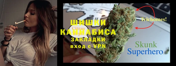 прущие грибы Елабуга