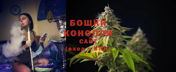 прущие грибы Елабуга