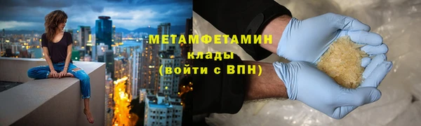 прущие грибы Елабуга