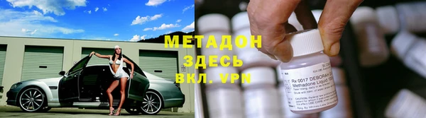 прущие грибы Елабуга