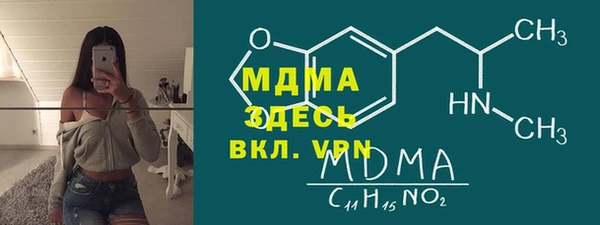 прущие грибы Елабуга