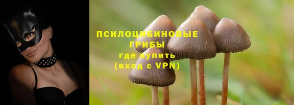 тгк Заволжск