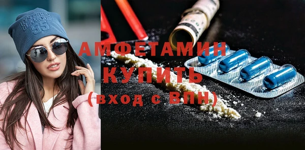 прущие грибы Елабуга