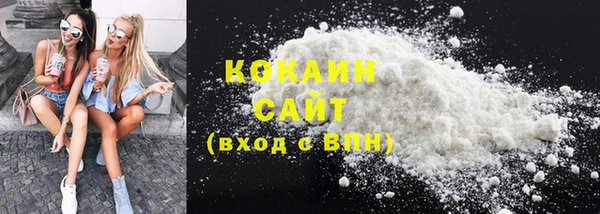 прущие грибы Елабуга
