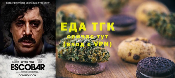 прущие грибы Елабуга