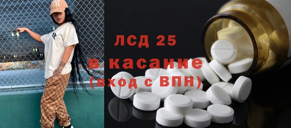 прущие грибы Елабуга